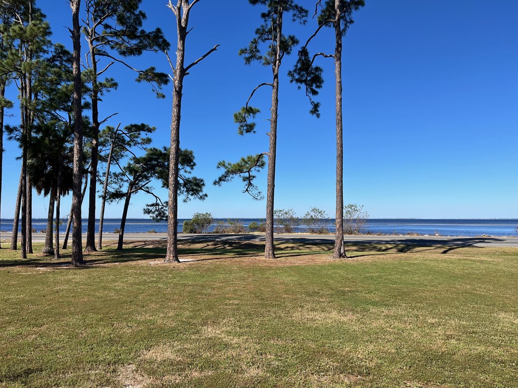  for additional photo 79