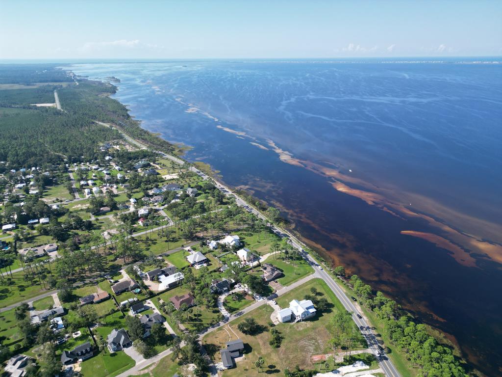  for additional photo 82